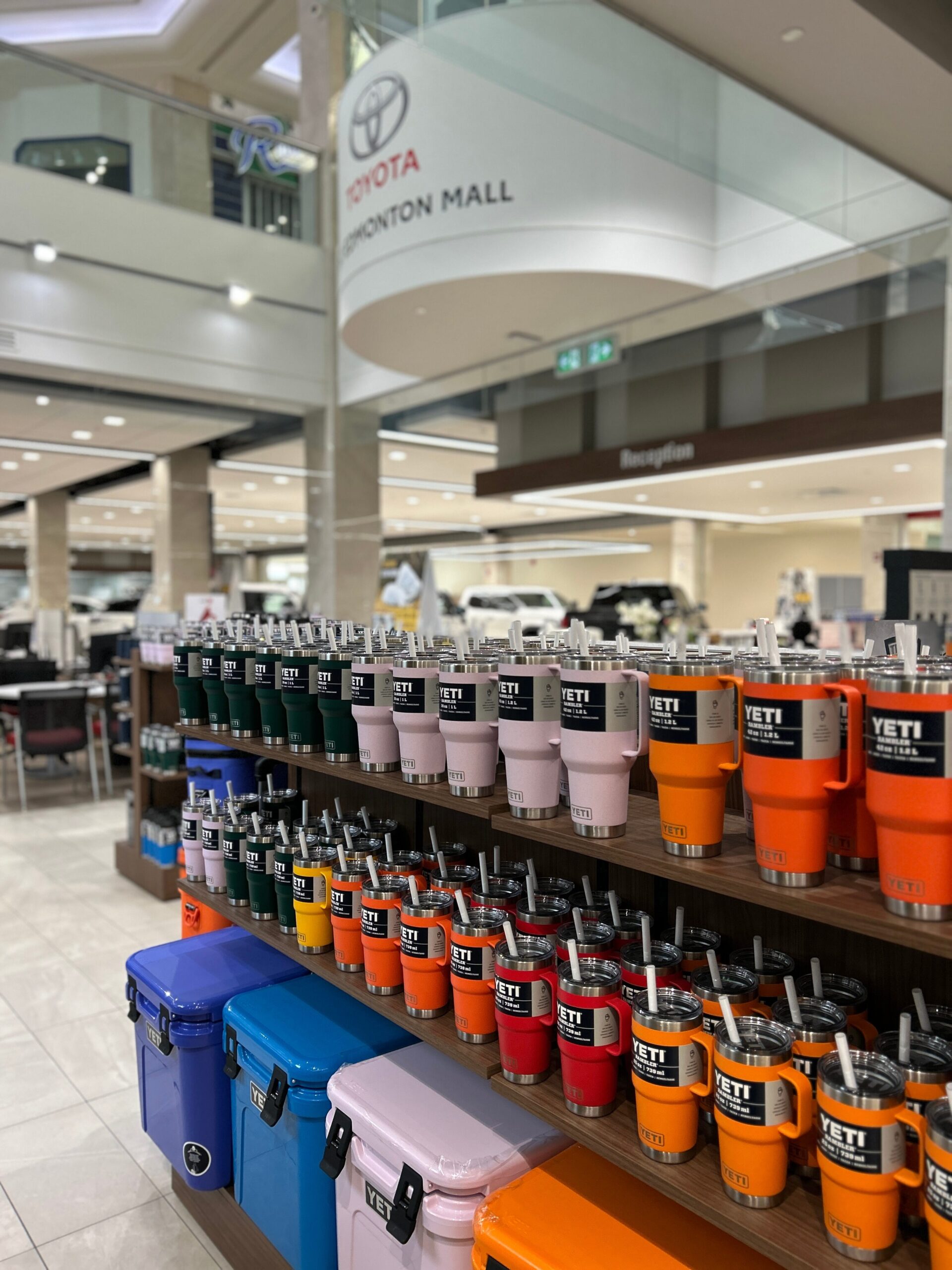 Our Favourite Back-to-School Yeti Products