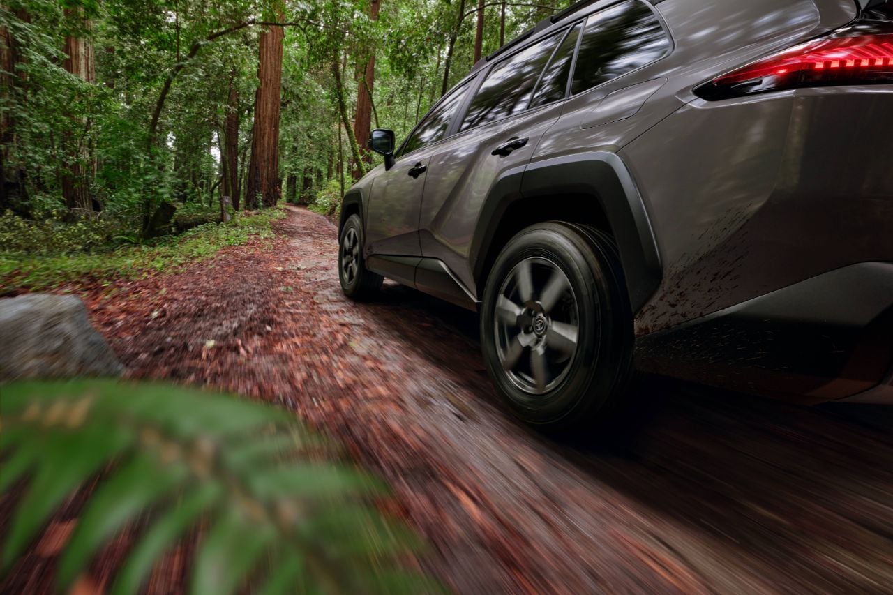 A Toyota RAV4 drives down a forest trail.